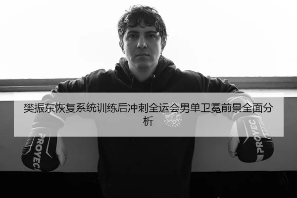 樊振东恢复系统训练后冲刺全运会男单卫冕前景全面分析